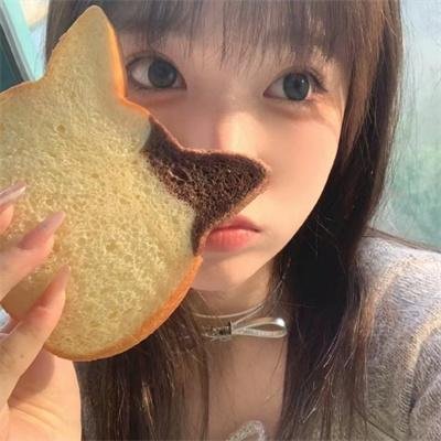 玩具熊 高清封面